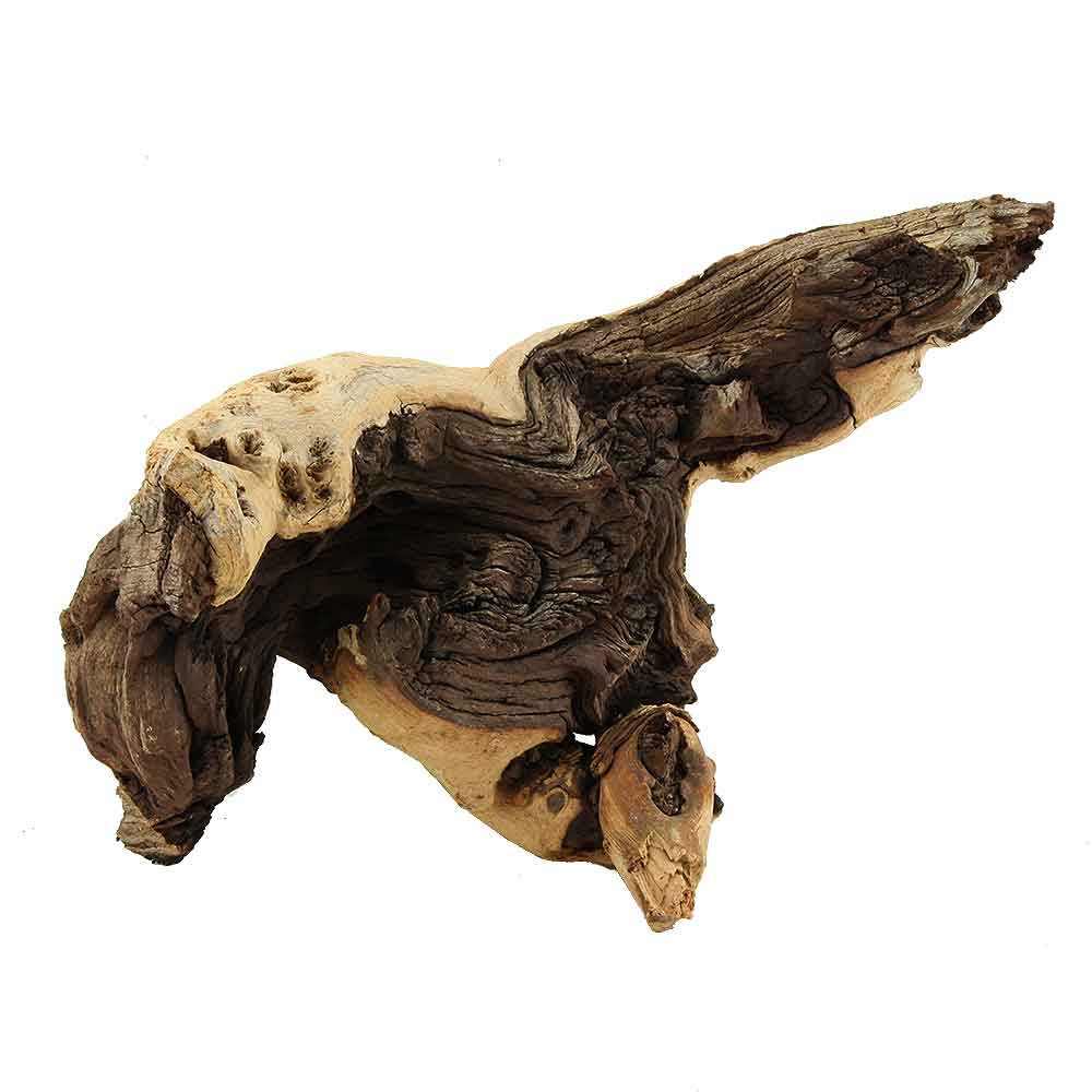 Legno Mopani 850 con Foto Reale e Misure 26x14x20h cm