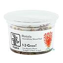 Tropica 1•2•Grow! Pianta Rotala rotundifolia 'Blood Red' in Vitro Cup