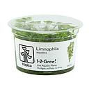 Tropica 1•2•Grow! Pianta Limnophila aquatica in Vitro Cup
