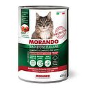Morando Premium Umido Adulto per Gatto Bocconcini in salsa con Manzo 405gr