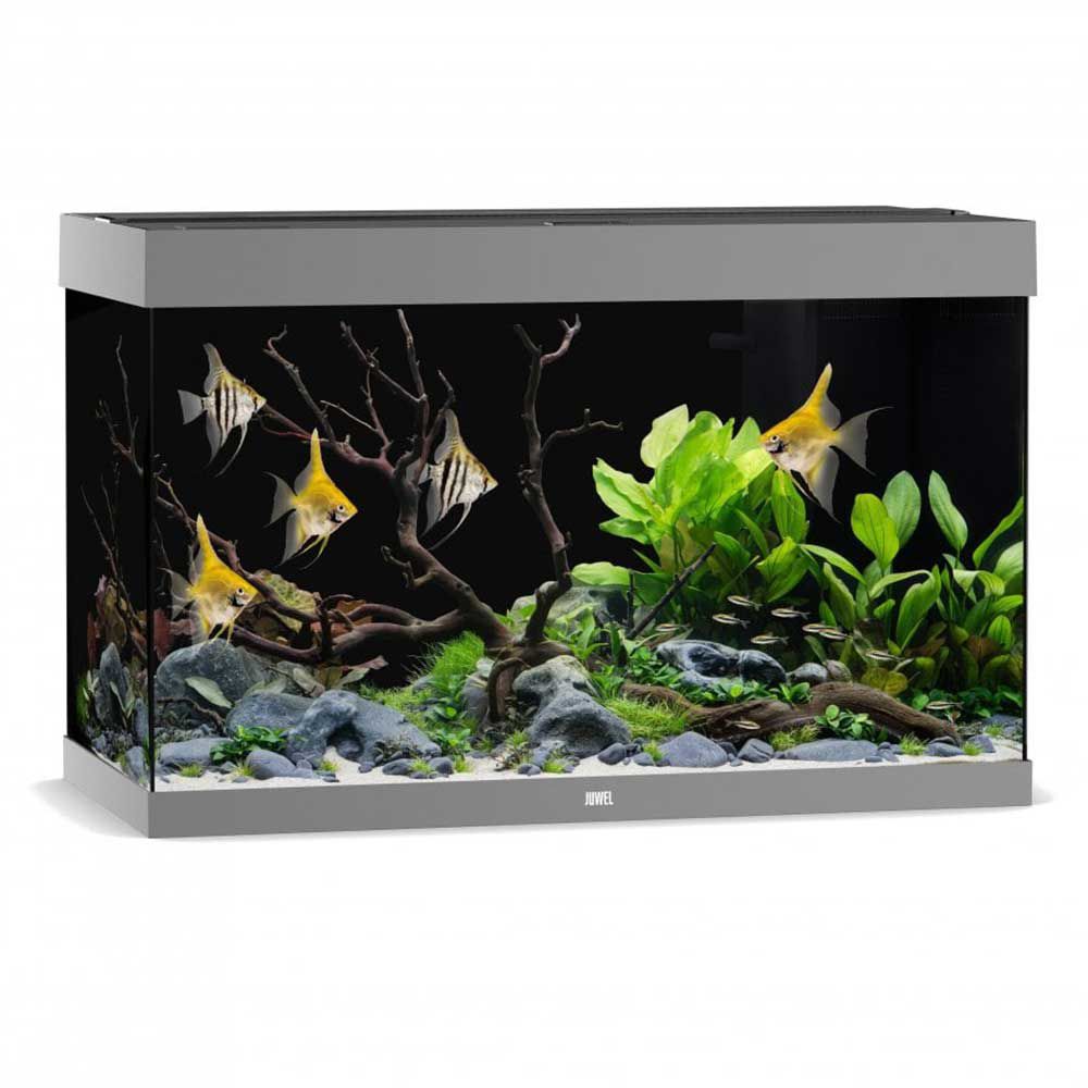Juwel Acquario Rio 290 Litri LED Grigio 101x51x66H cm