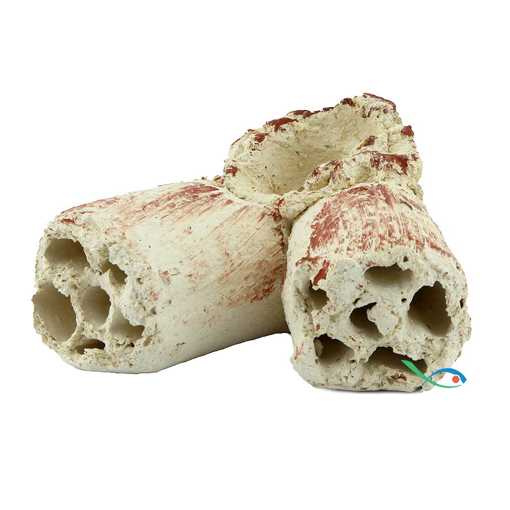 Zolux Decorazione Tubo Doppio Multiforo 12x10x6h