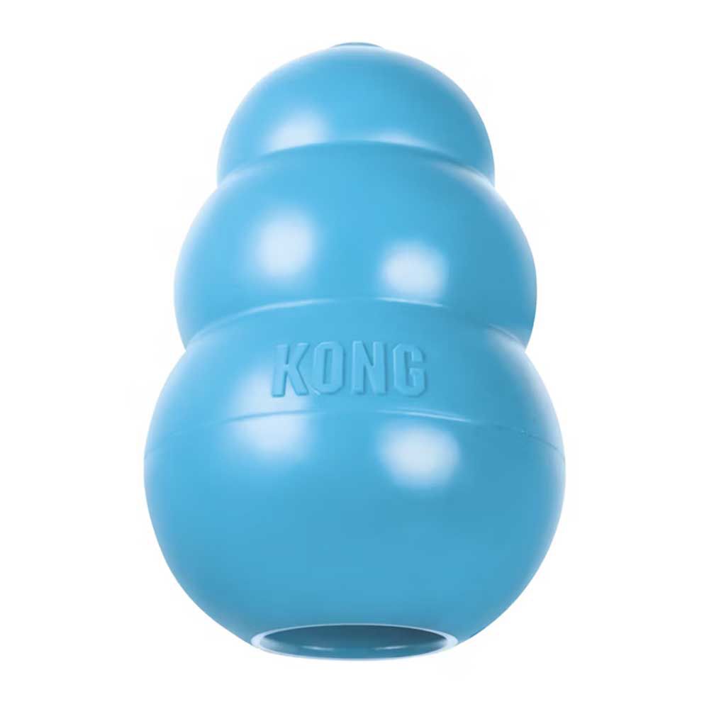 Kong Puppy Medium Gioco per Cani Azzurro 7-16Kg