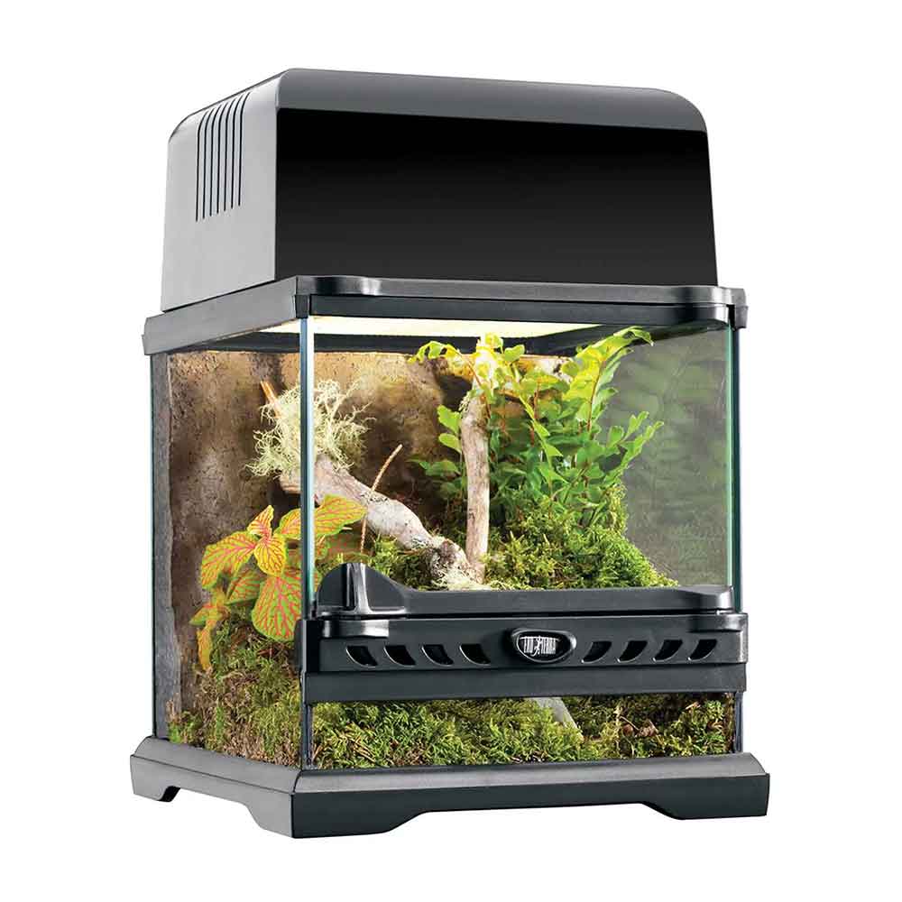 Exoterra Natural Terrarium Nano Wide Terrario 20x20x20h cm