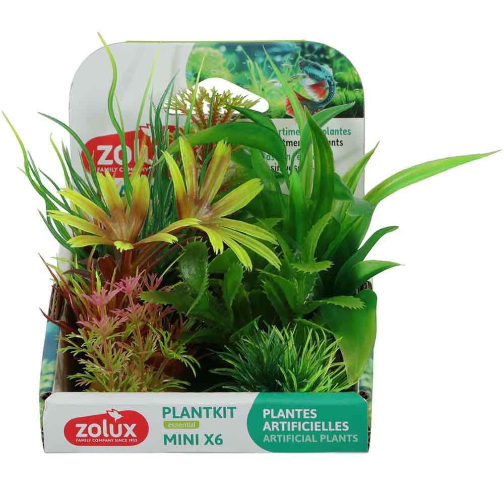 Zolux PlantKit Mini 2 Assortimento 6 piantine in plastica