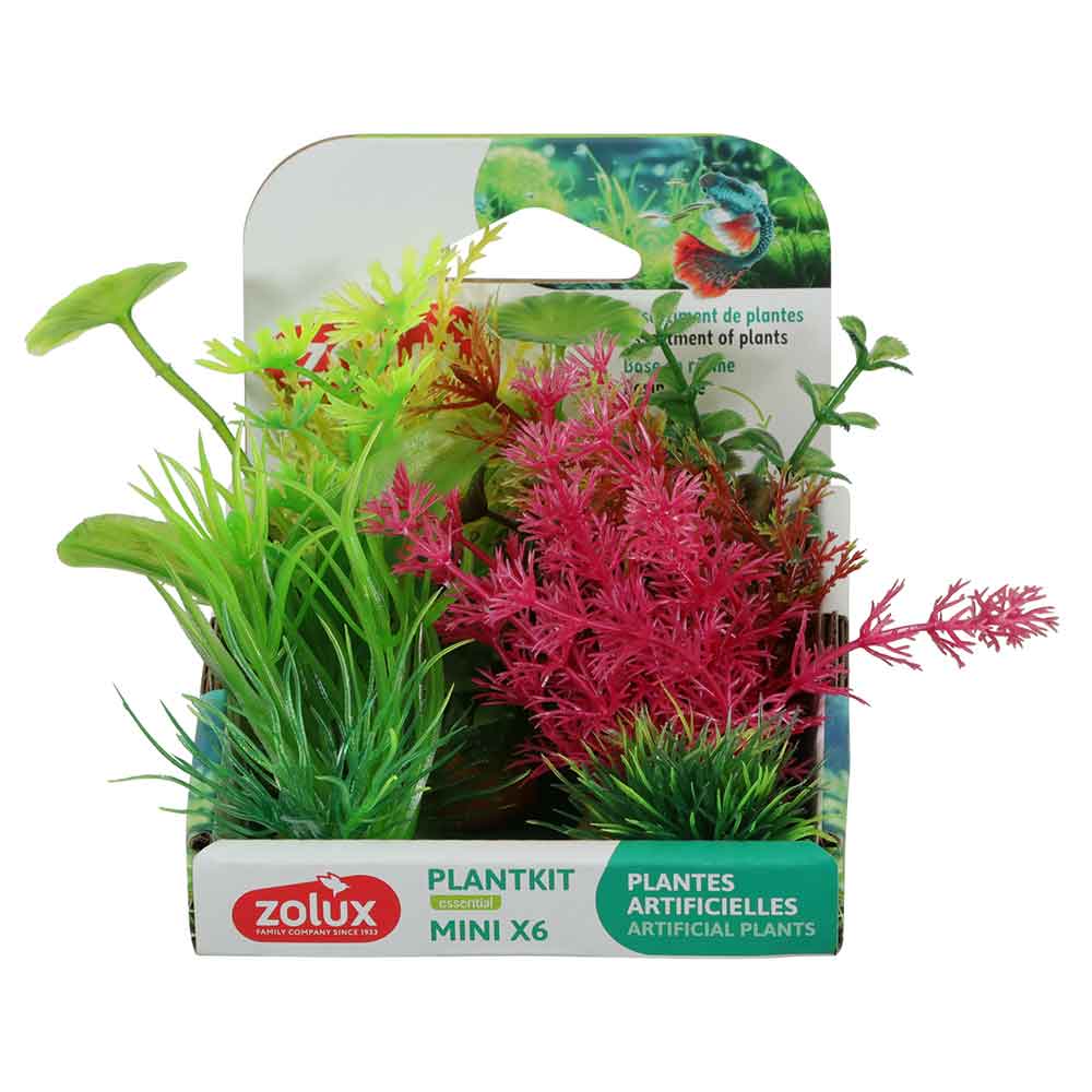 Zolux PlantKit Mini 4 Assortimento 6 piantine in plastica