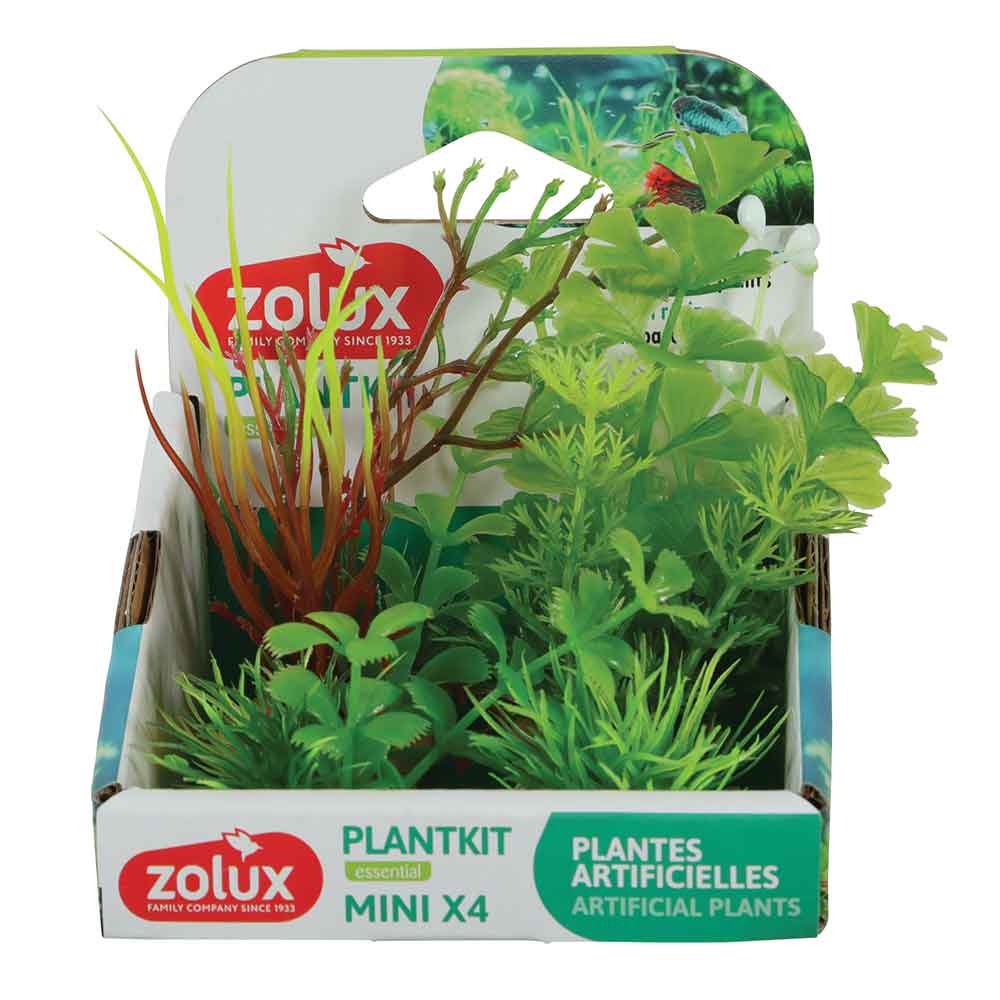 Zolux PlantKit Mini 2 Assortimento 4 piantine in plastica