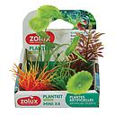 Zolux PlantKit Mini 3 Assortimento 4 piantine in plastica