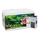 Amtra Basic 60 Acquario Led Bianco con Filtering Box 150 55lt 60x30x42h cm