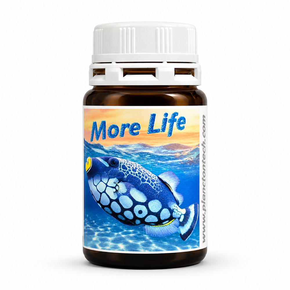 Planctontech More Life Integratore per Pesci Tropicali 10 Capsule per 2000 Litri