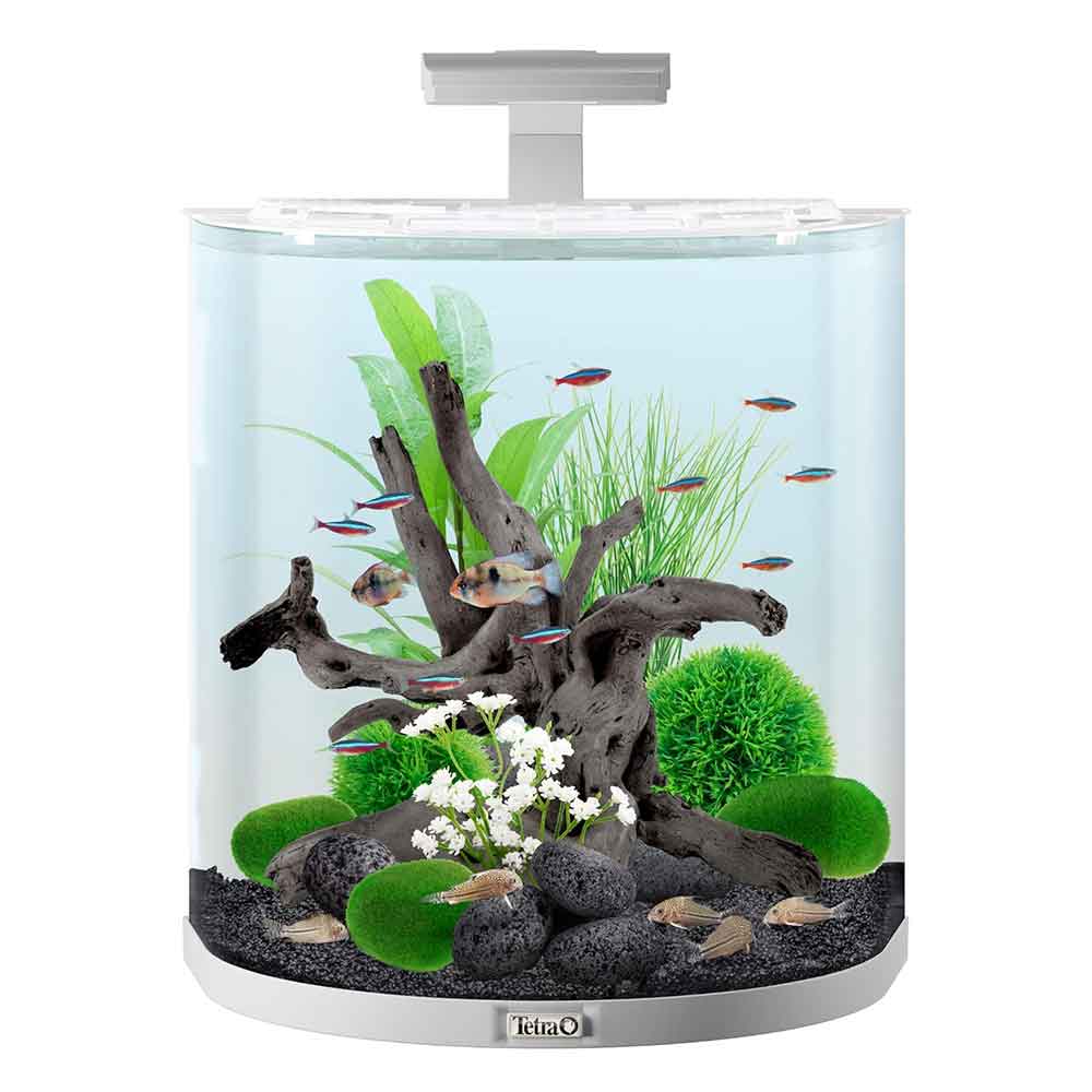Tetra Aquaart Explorer Line Acquario 60 litri bianco 61x36x51h cm