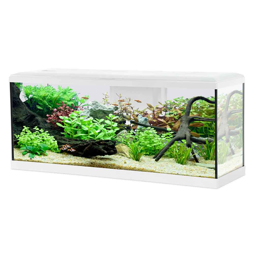 Zolux Acquario Tana 100 Bianco Completo 120 Litri 100x30x40h cm