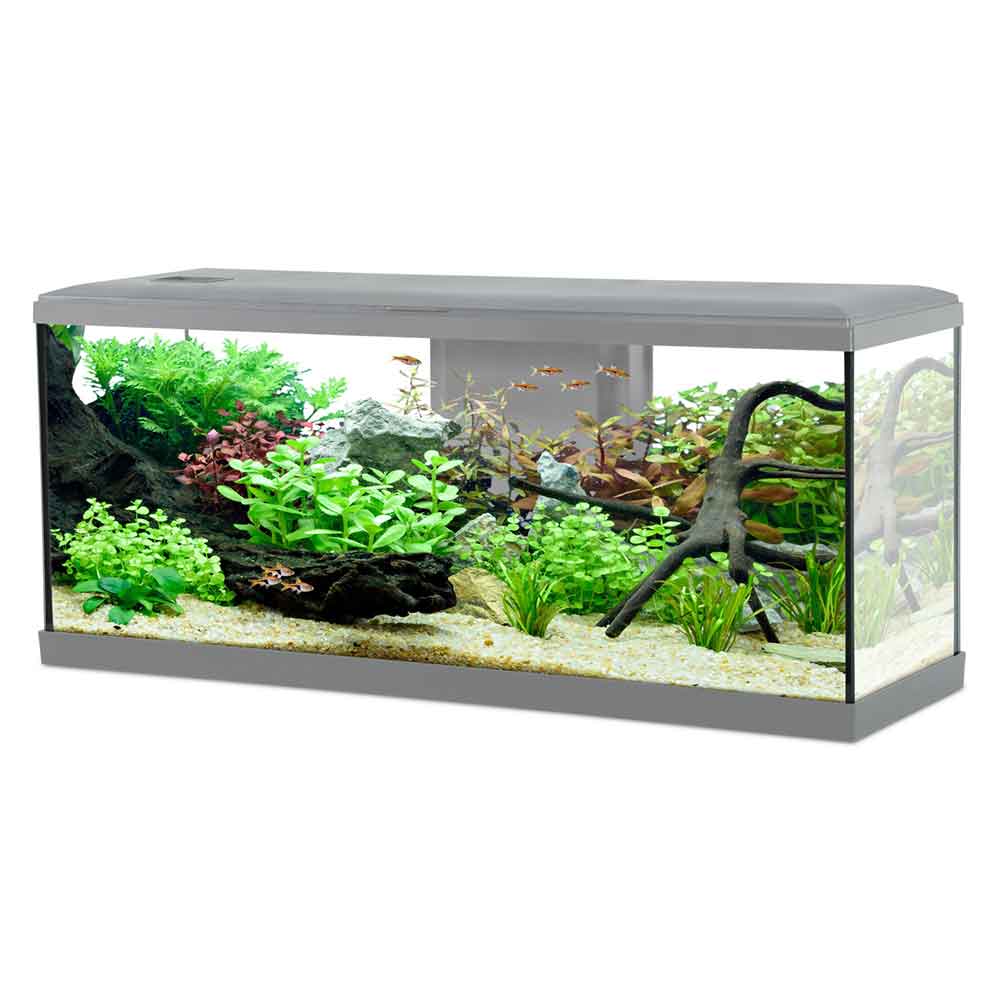 Zolux Acquario Tana 100 Grigio Completo 120 Litri 100x30x40h cm