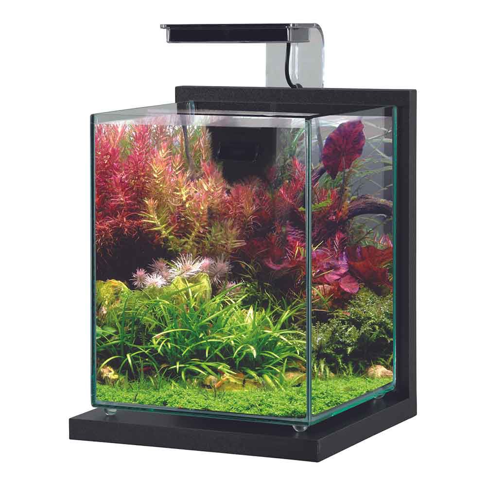 Zolux Jalaya 2 Acquario Grigio antracite 10 litri