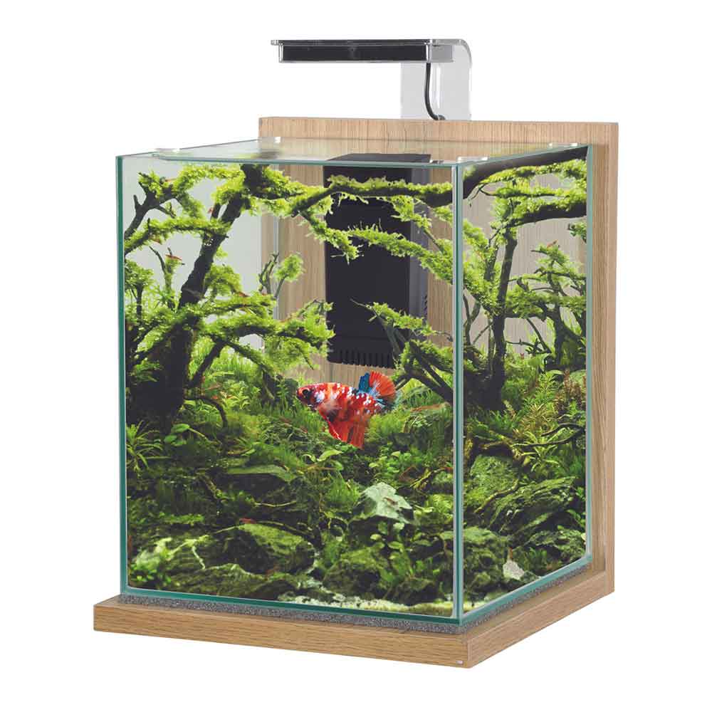Zolux Jalaya XL Acquario Quercia chiaro 18,7 litri