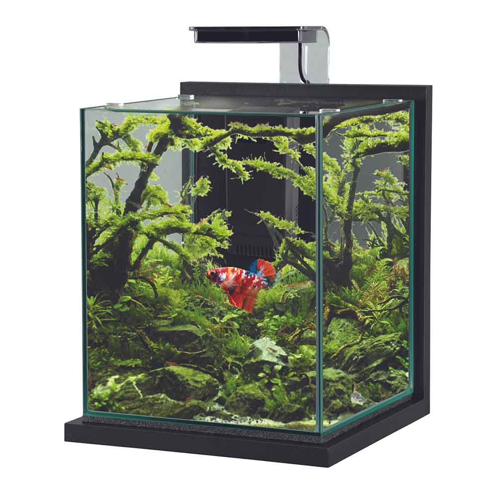 Zolux Jalaya XL Acquario Grigio antracite 18,7 litri