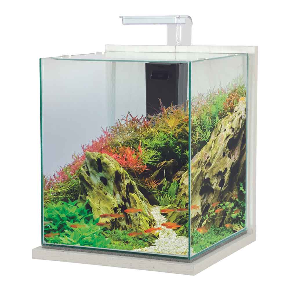 Zolux Jalaya XXL Acquario Ceruse bianco 31,5 litri