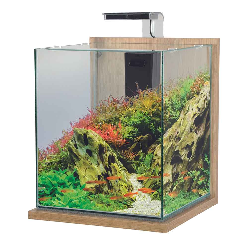 Zolux Jalaya XXL Acquario Quercia chiaro 31,5 litri