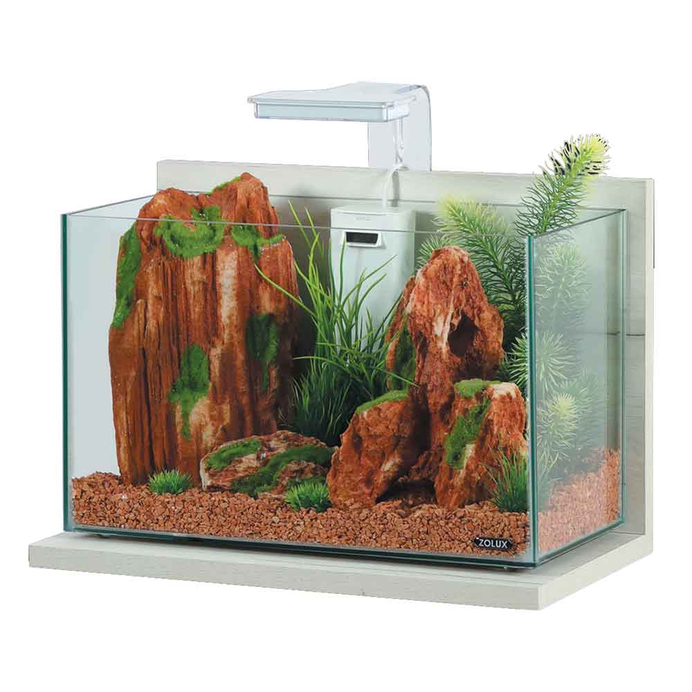 Zolux Acquario Idro 20 Zebrano grigio 40x40x25cm 20 litri