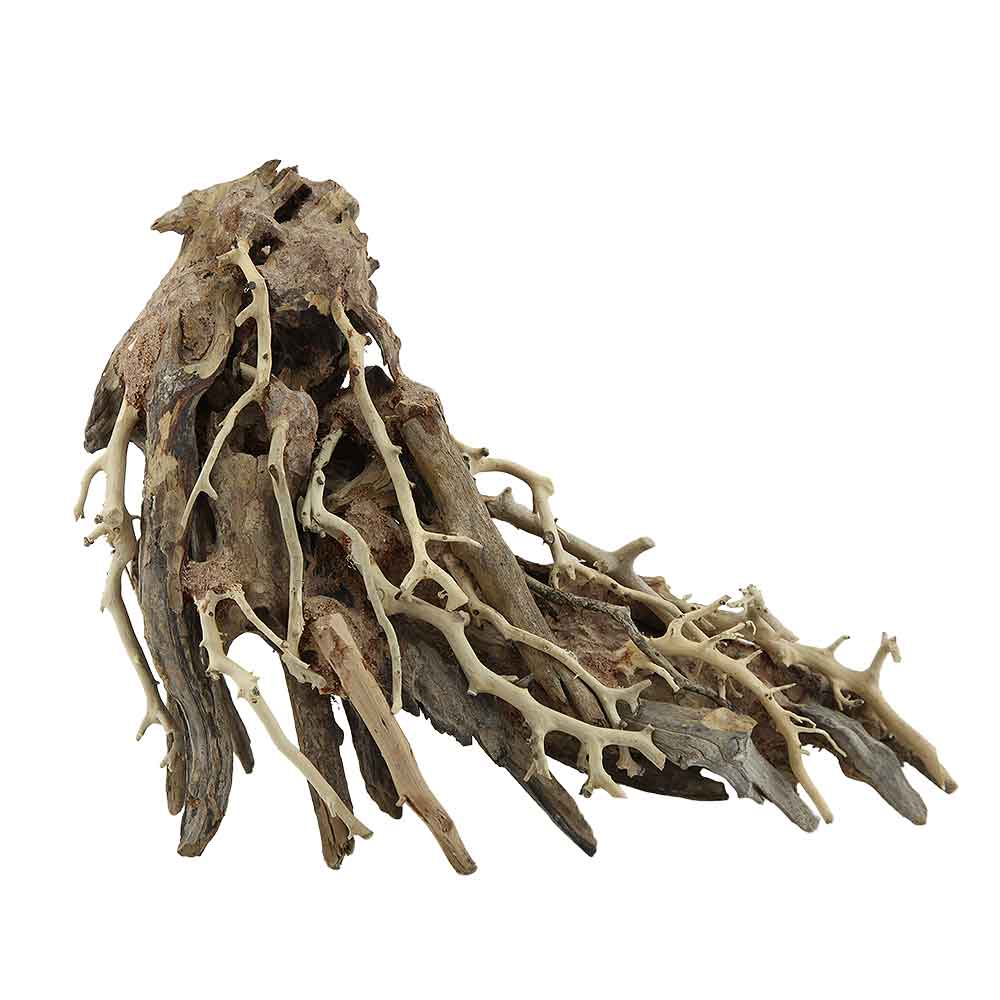 Aquadeco Octopus Wood Legno decorativo 18-25 cm circa