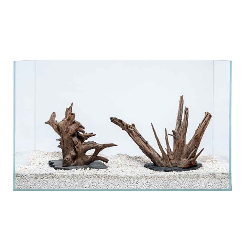 Aquadeco Angkor Tree M 26-35 cm circa 1 pz