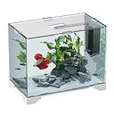 Blu Bios Acquario Only con Filtro e coperchio 15 Litri 35x20x25h cm