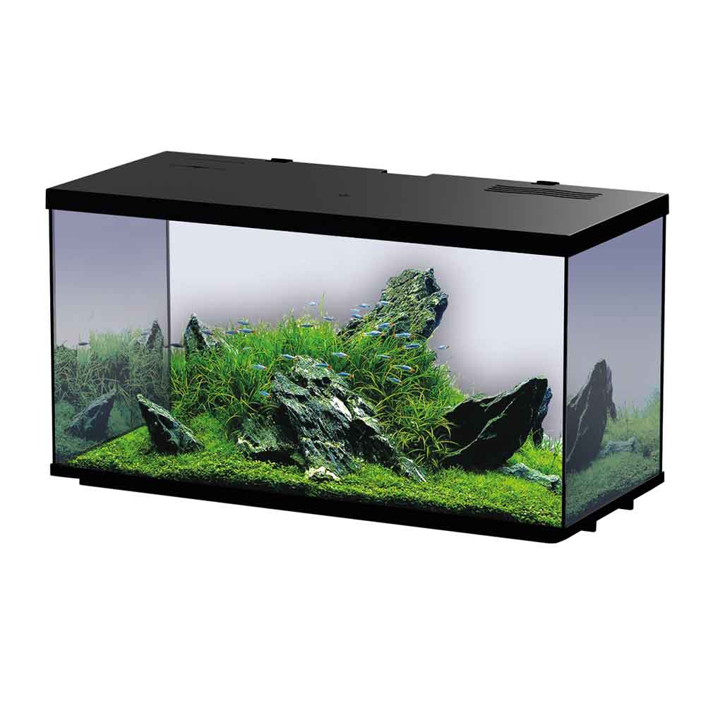 Blu Bios Sirius 31 Acquario completo 48x22x29h cm 29 Litri Nero