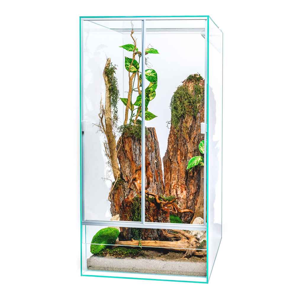 Blu Bios Terrario Paludario Madagascar 45x45x60h cm