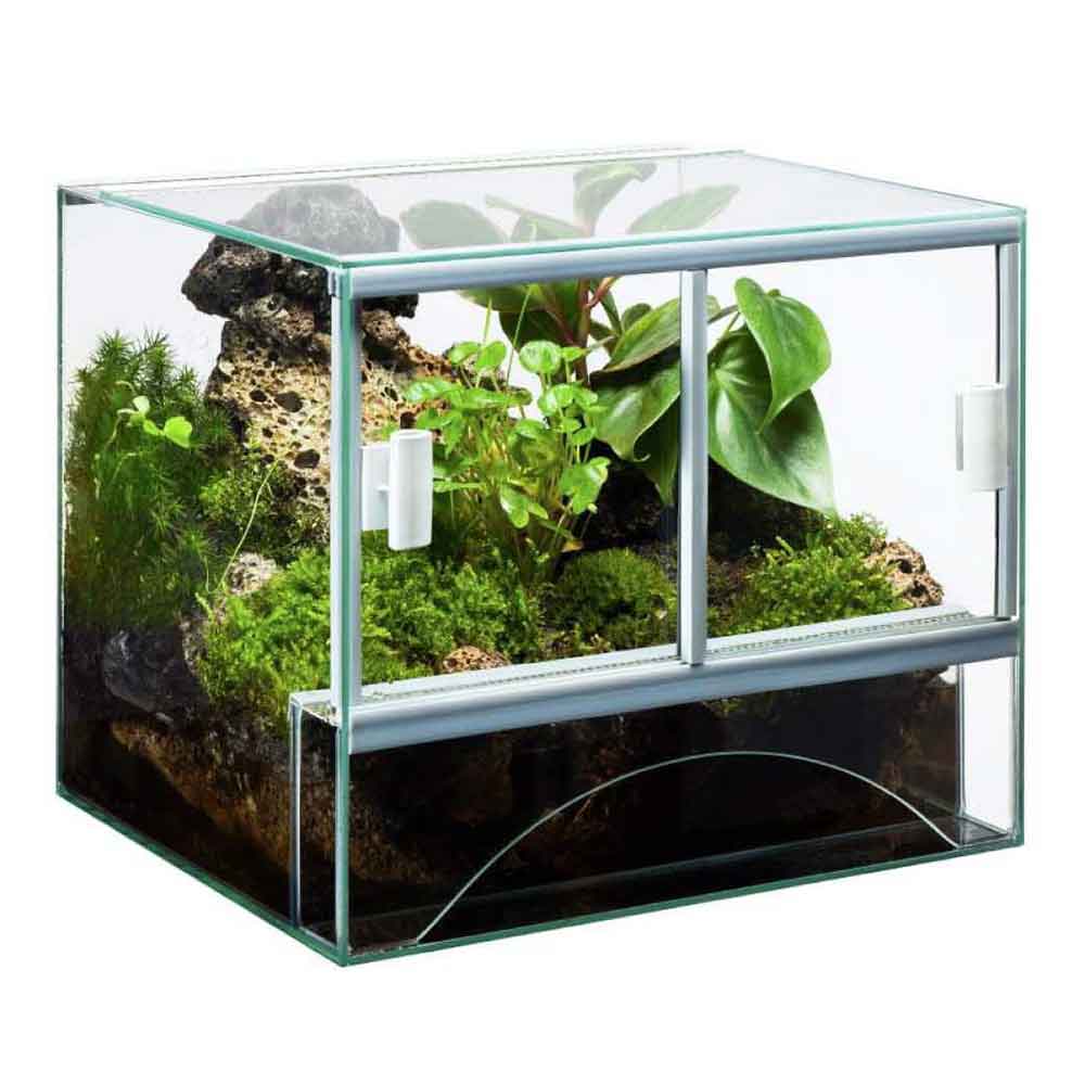 Blu Bios Terrario Paludario Senegal 50x40x30h cm