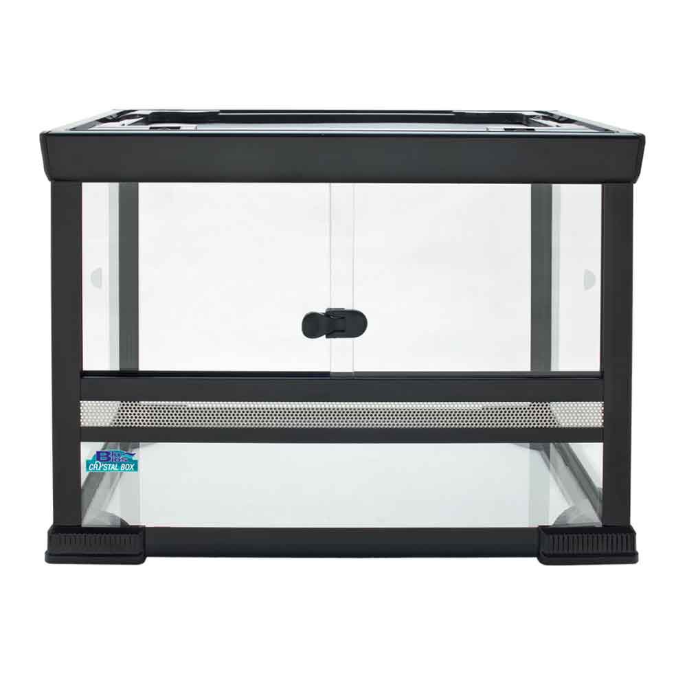 Blu Bios Terrario Paludario Namibia 50x30x40h cm