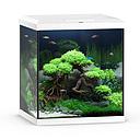 Juwel Acquario Vio Cube 54 Litri LED Bianco 41x36x47H cm