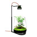 Micmol Drop Bio Grow Suit Black Lampada e Vasca