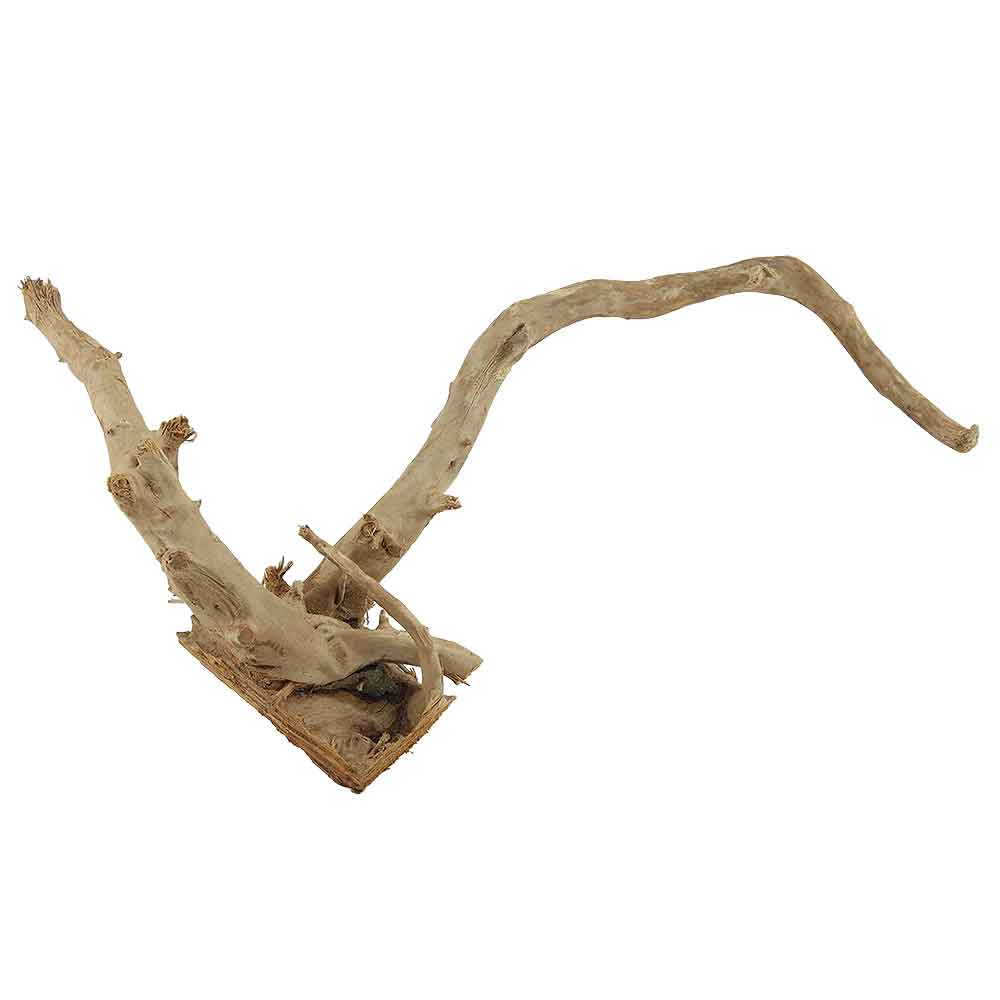 Legno Branch Wood 2175 con foto reale e misure 46x16x22h
