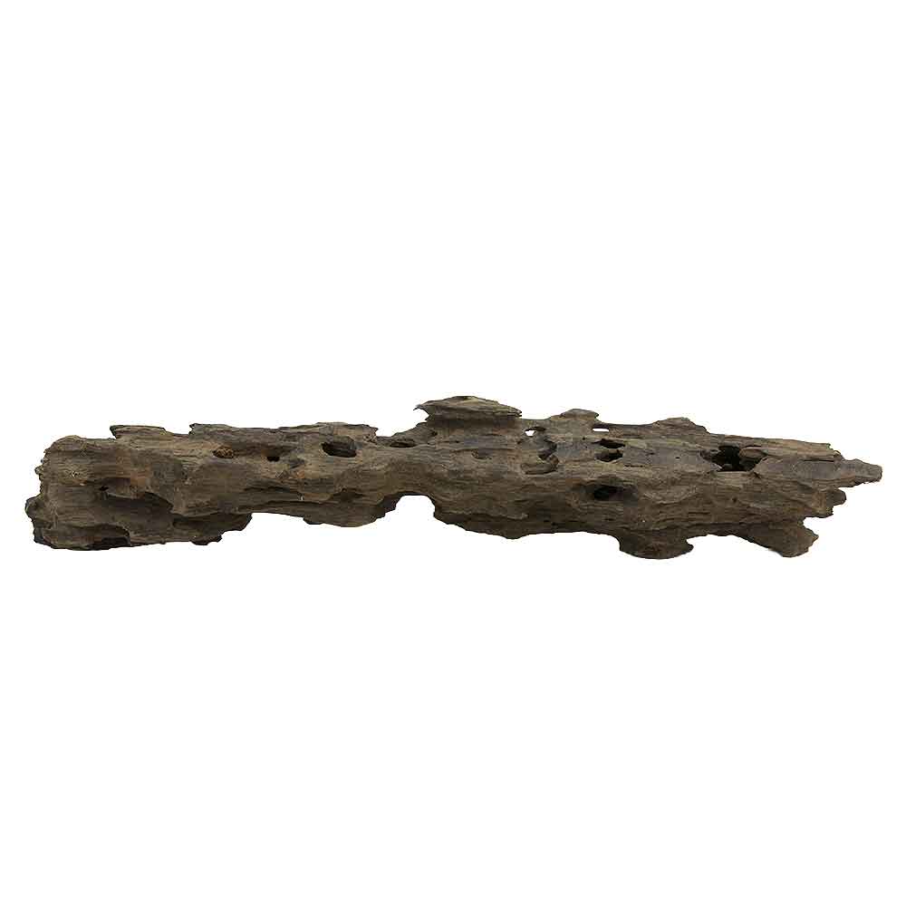 Legno Honey Comb M 46 con foto reale e misure 49x11x10h cm