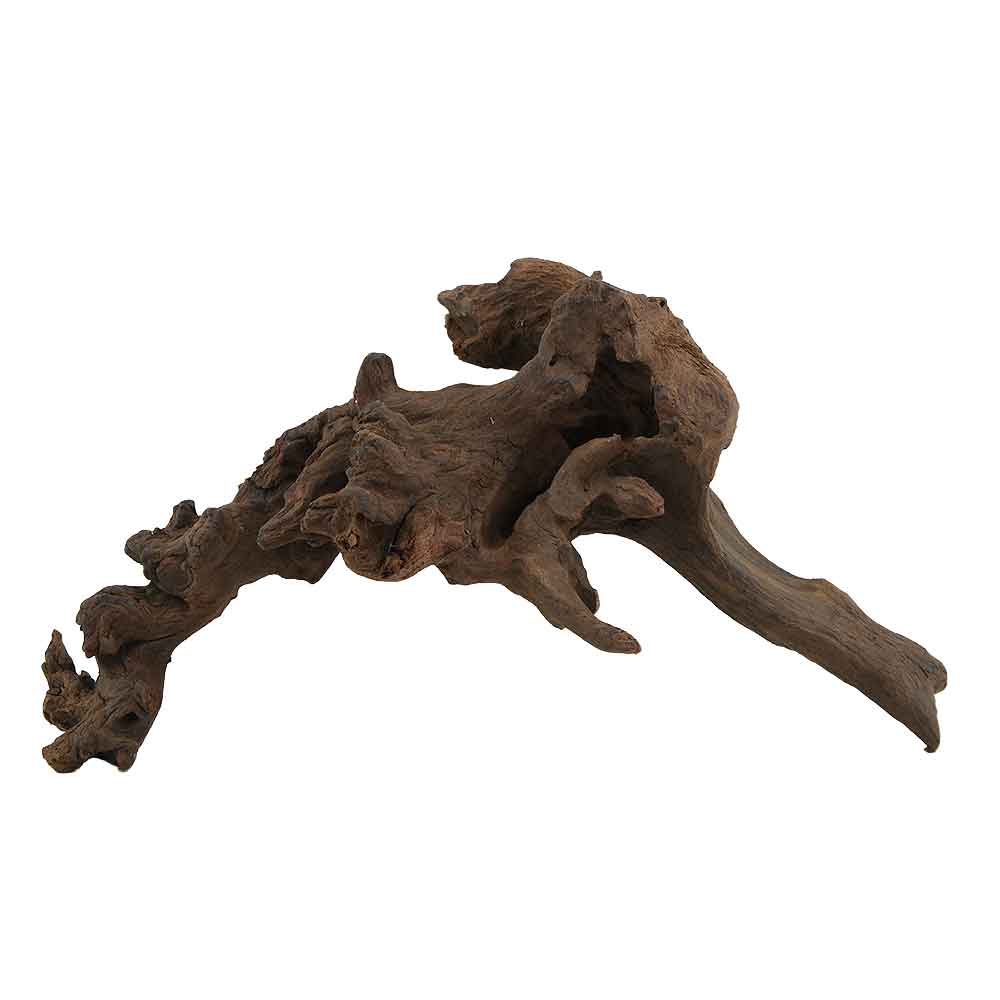 Legno Amazzonia  7 con foto reale e misure 26x11x15h cm