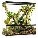 Exoterra Pro Paludarium Large X-Tall Terrario 60x45x60h cm