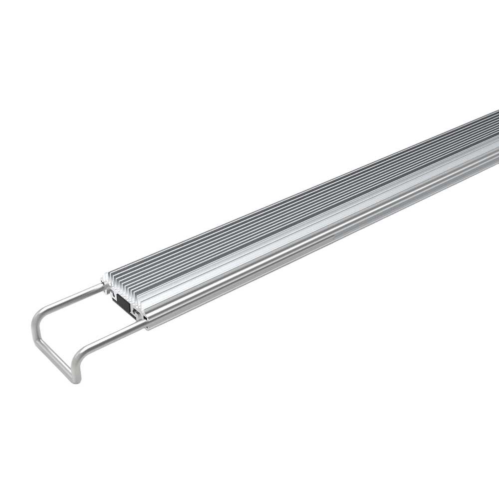 Gnc SilverFork per Silvermoon