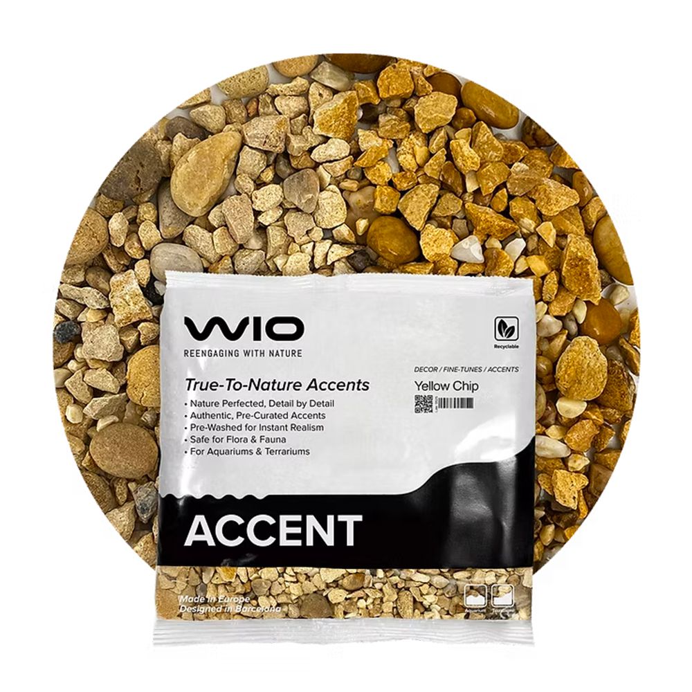 Wio Yellow Chip Accent Giaia decorativa 750g