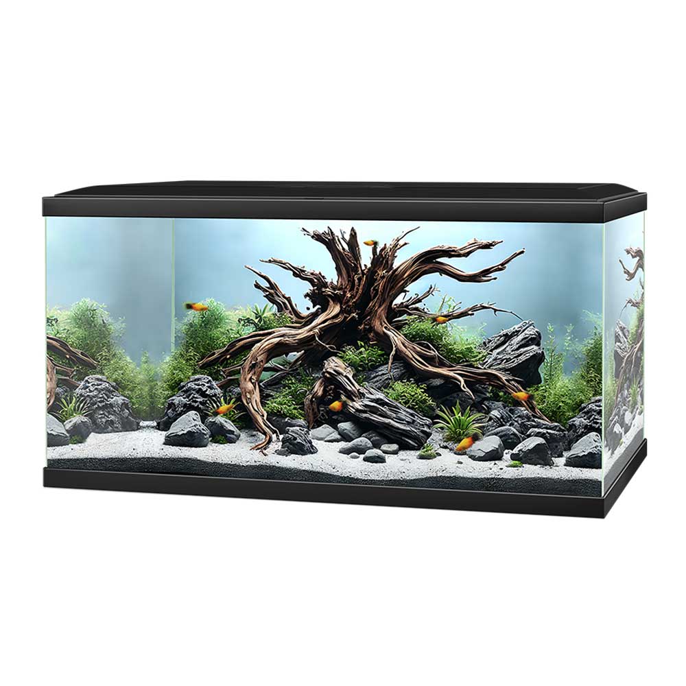Ciano Aquarium Acquario Aqua 85 Pro Nero 76 litri 80x30x41h cm