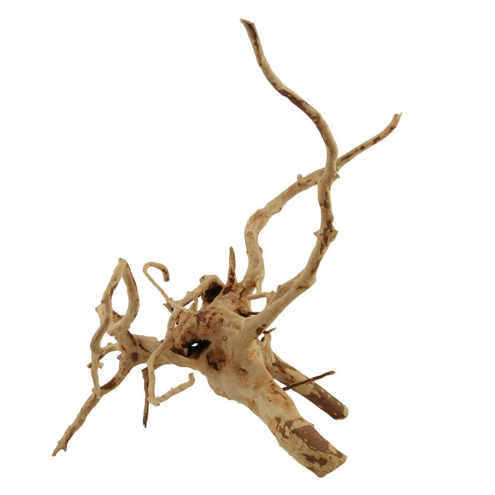 Legno Branch Wood 2250 con foto reale e misure 32x24x35h cm