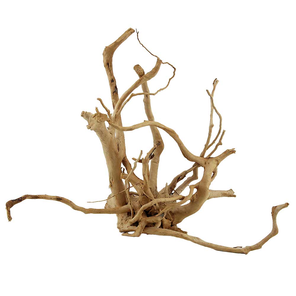 Legno Branch Wood 2256 con foto reale e misure 39x19x33h