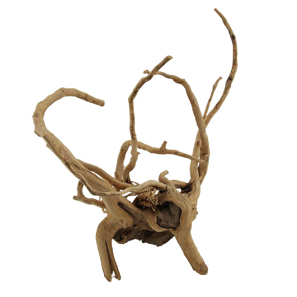 Legno Branch Wood 2265 con foto reale e misure 26x24x32h