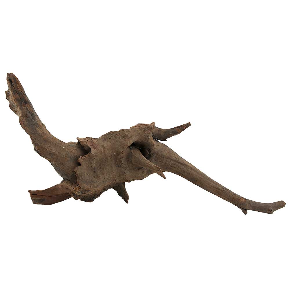 Legno Drift Wood 153 con foto reale e misure 52x19x26h cm