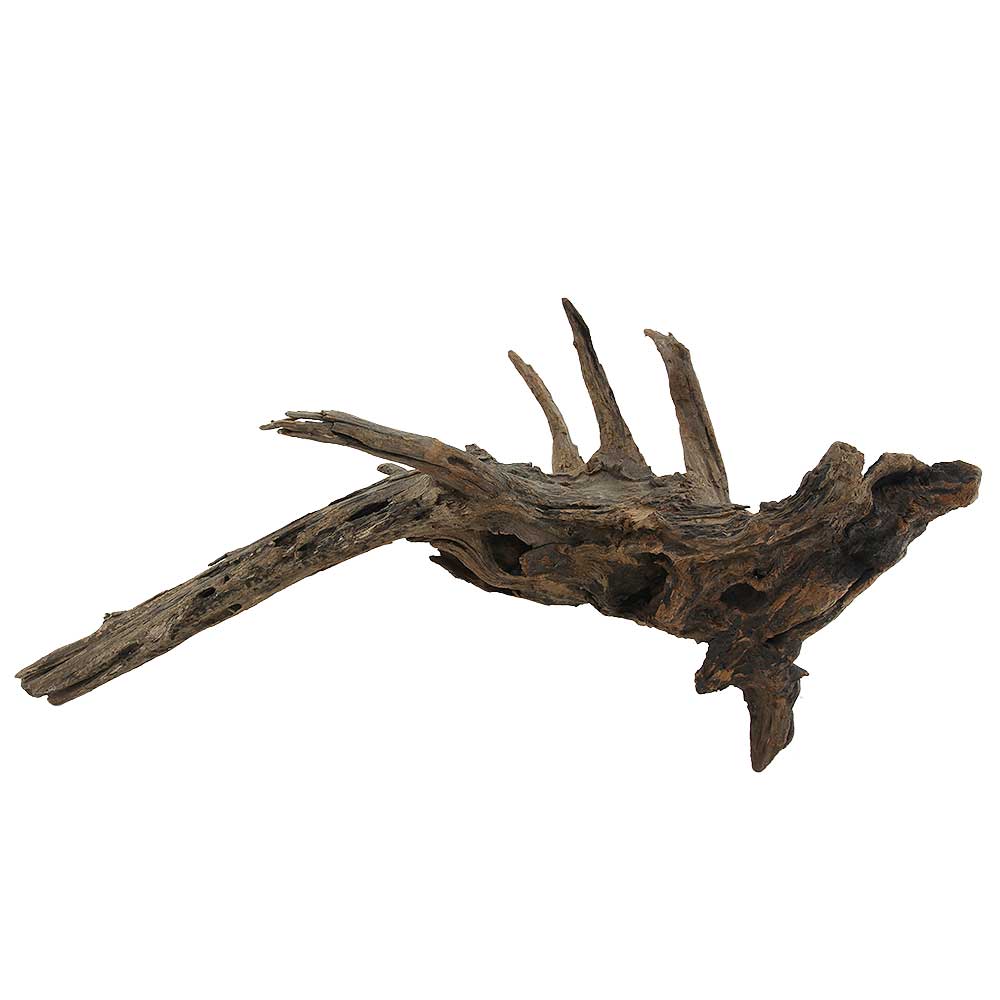 Legno Drift Wood 154 con foto reale e misure 60x21x30h cm