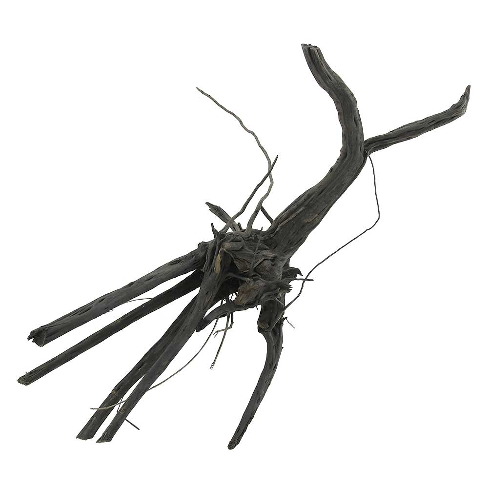 Legno Black Root 3 con foto reale e misure 34x18x32h cm