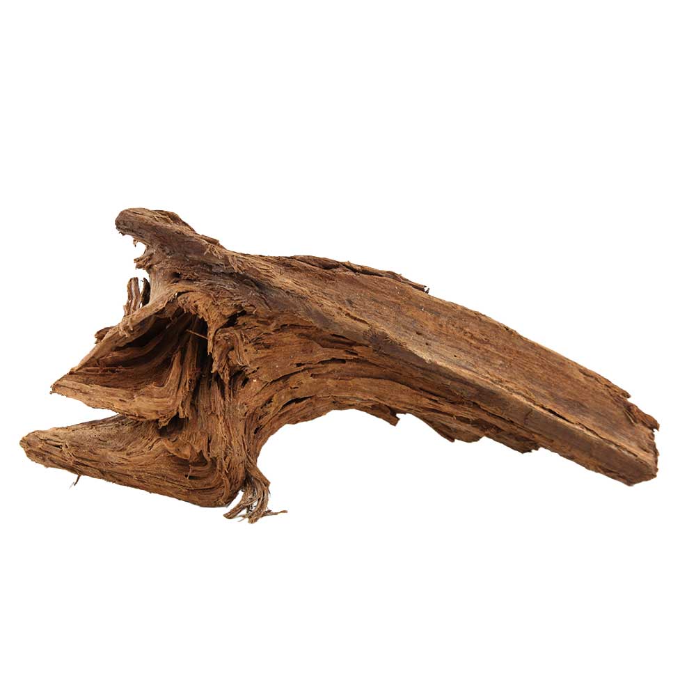 Legno Radice Mangrovia 412 con Foto Reale e Misure 31x10x14h cm