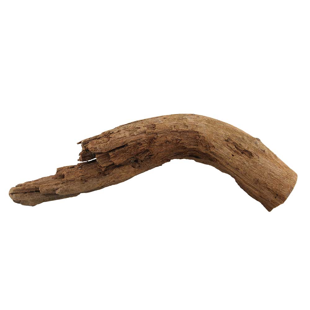 Legno Radice Mangrovia 416 con Foto Reale e Misure 38x11x13h cm