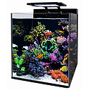 Blue Marine Reef 60 Acquario marino completo 60 Litri circa 350x451x405h mm