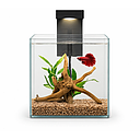 Askoll Betta World Acquario per Betta 20x20x20h cm 8 litri con Led