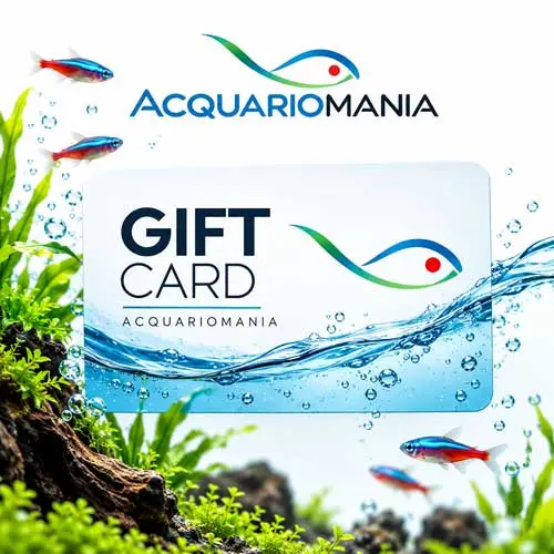Carta regalo da 25 euro